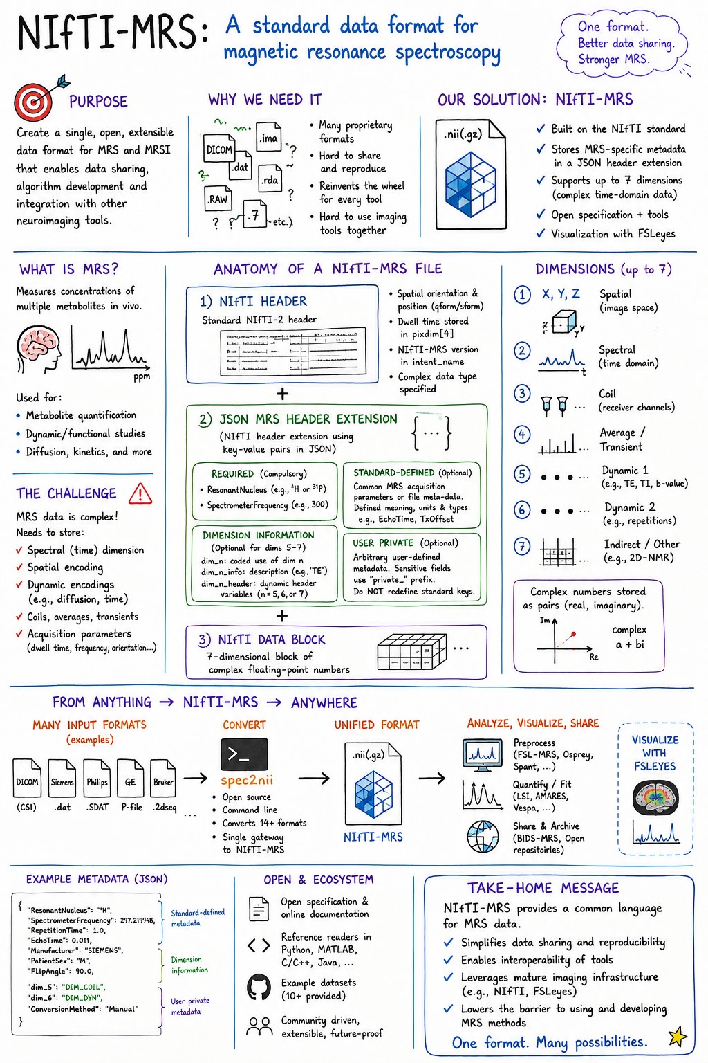Illustrated overview of the NIfTI-MRS data standard